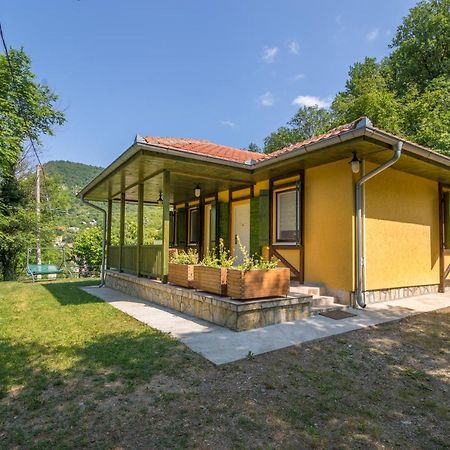 Vila Camelia Golubăţ Exterior foto