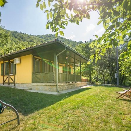 Vila Camelia Golubăţ Exterior foto