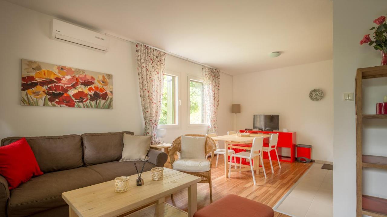 Vila Camelia Golubăţ Exterior foto
