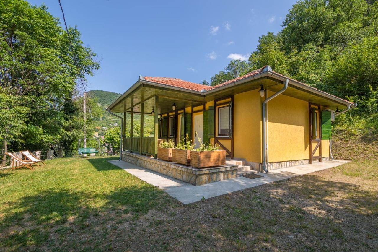 Vila Camelia Golubăţ Exterior foto