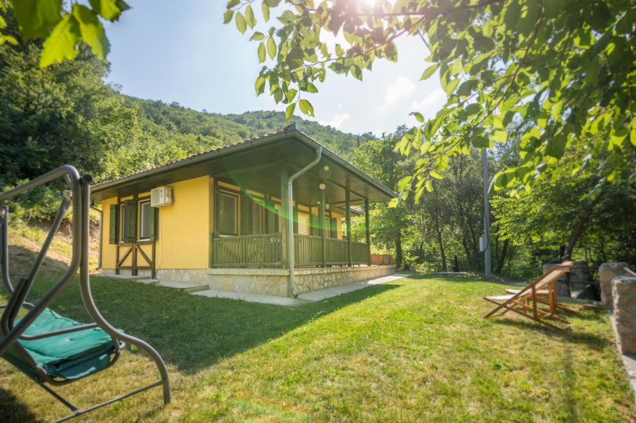 Vila Camelia Golubăţ Exterior foto