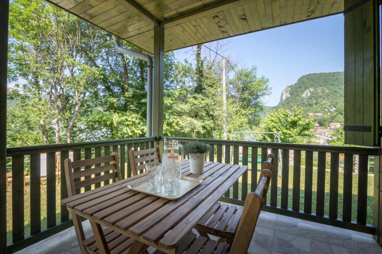 Vila Camelia Golubăţ Exterior foto